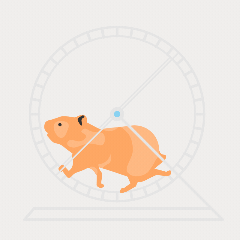 Platzhalter: Hamsterrad, Bewegung ohne Vorankommen